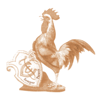 gallito de oro